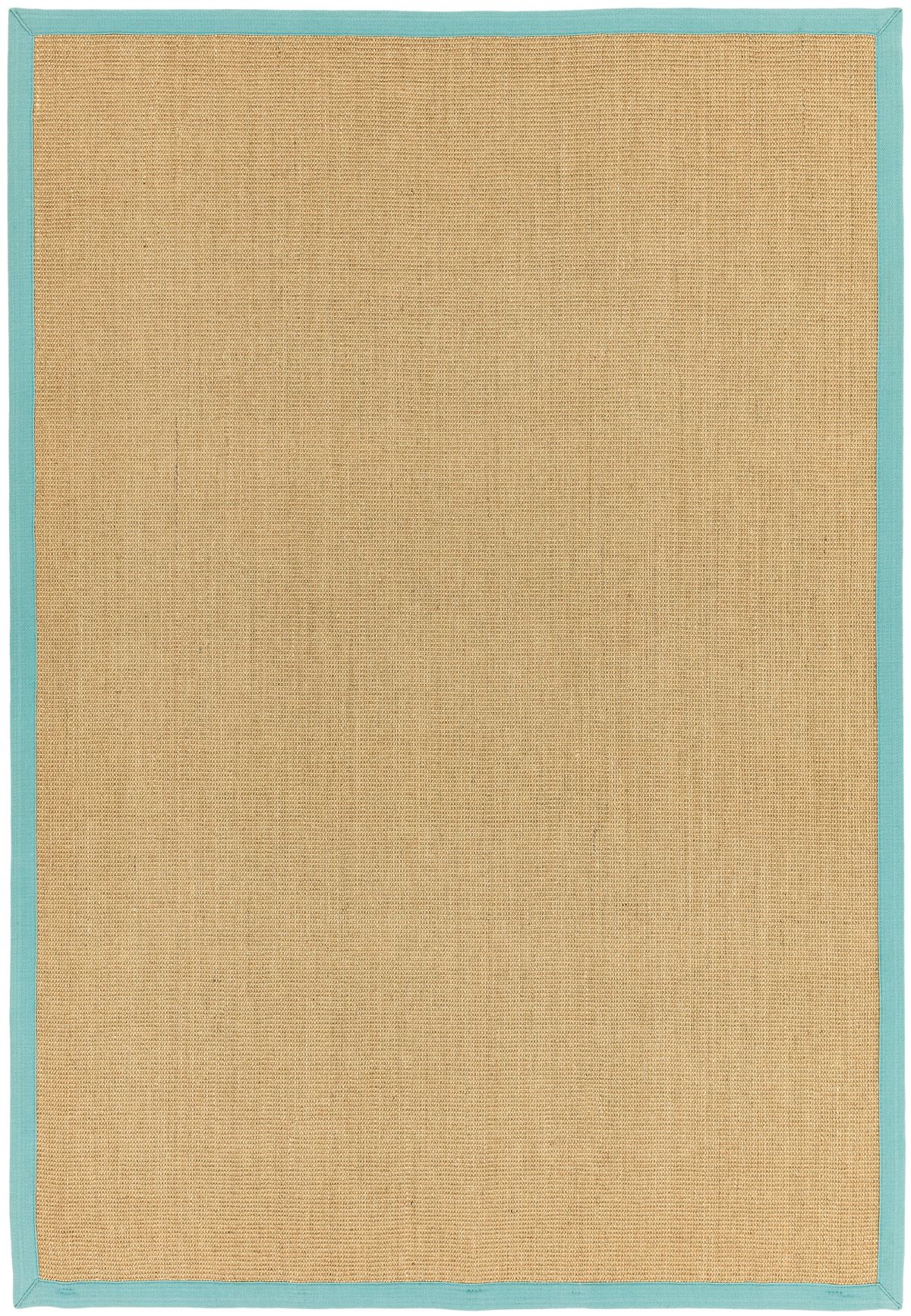 asiatic-rug-sisal-linen-aqua-border